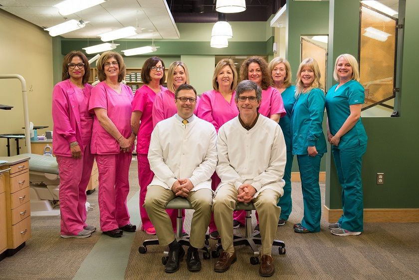 Meet the Team